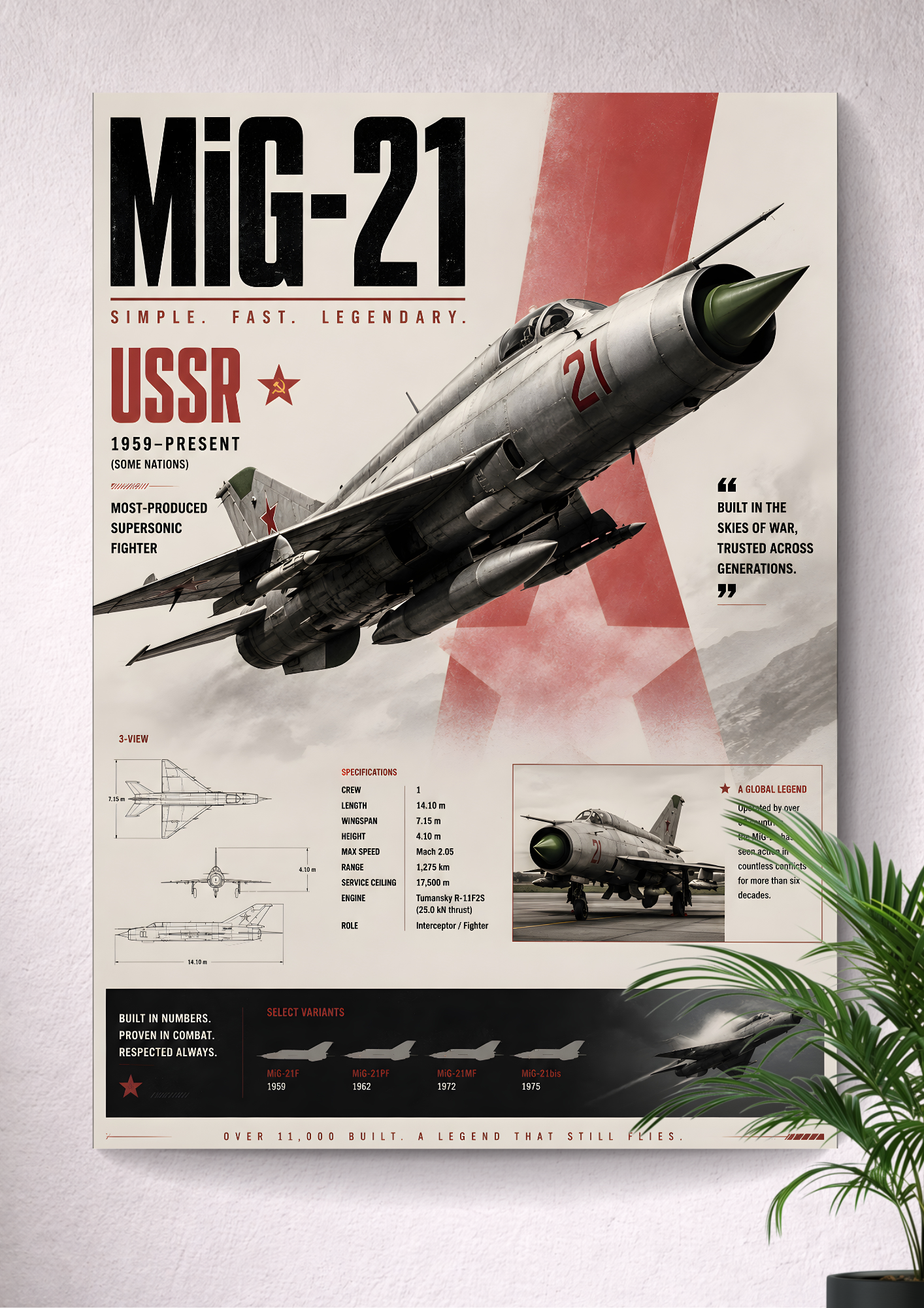 MIG-21 FISHBED | FISHBED | SENTINEL | AVIATOR