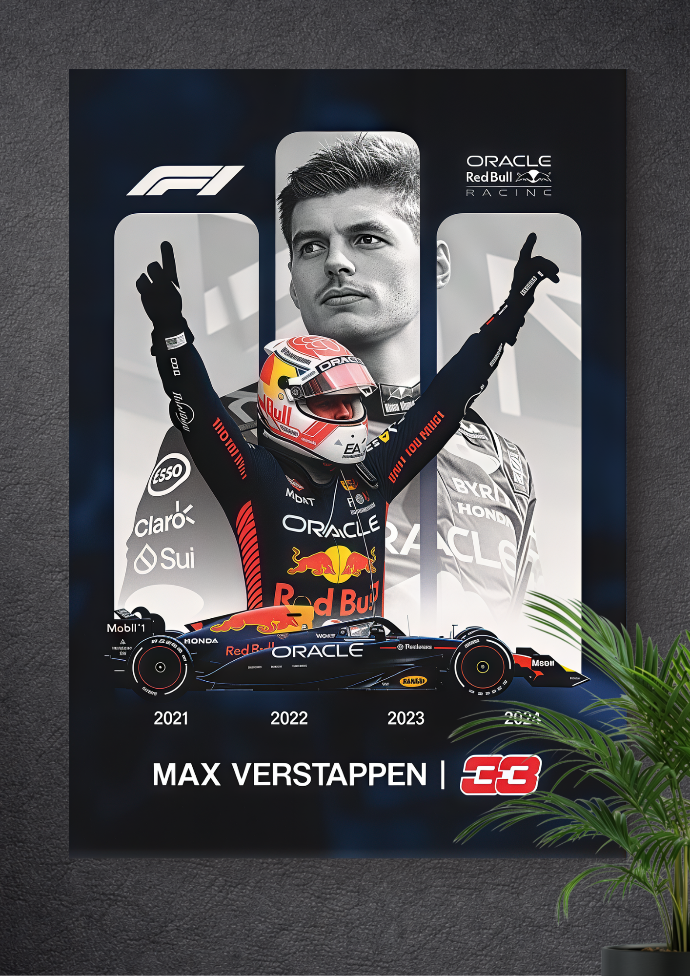 MAX EMILIAN VERSTAPPEN | FORMULA 1 | RED BULL RACING