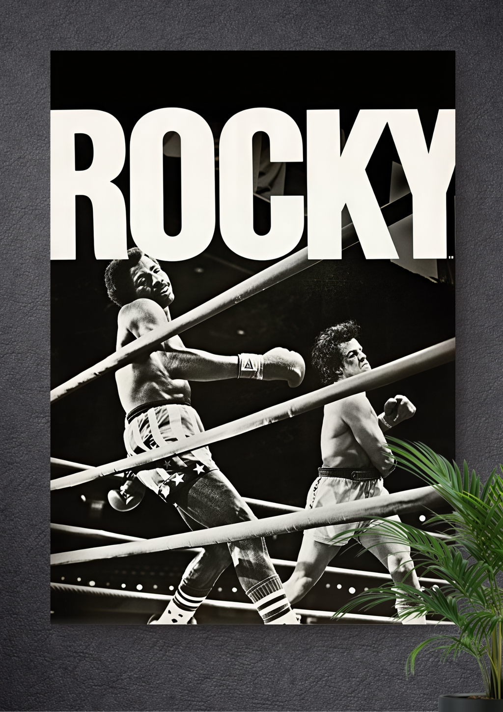 THE DOMINATOR | CHAMPIONSHIP FIGHT | ROCKY | FIGHT NIGHT