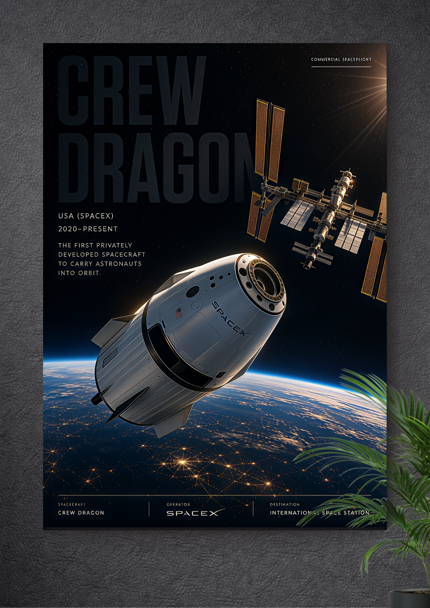 CREW DRAGON | ORBIT | ENDEAVOUR