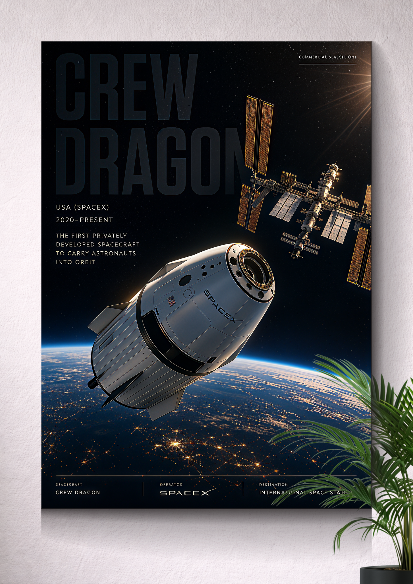 CREW DRAGON | ORBIT | ENDEAVOUR