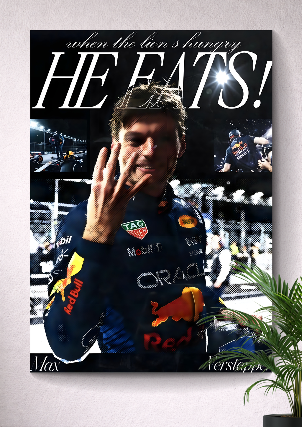 MAX EMILIAN VERSTAPPEN | FORMULA 1 | RED BULL RACING