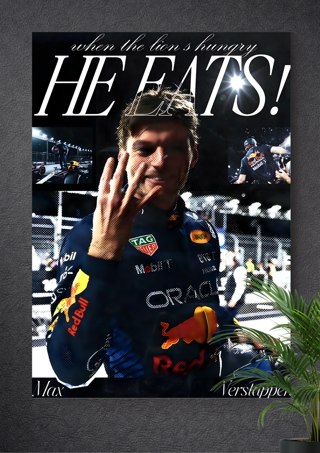 MAX EMILIAN VERSTAPPEN | FORMULA 1 | RED BULL RACING