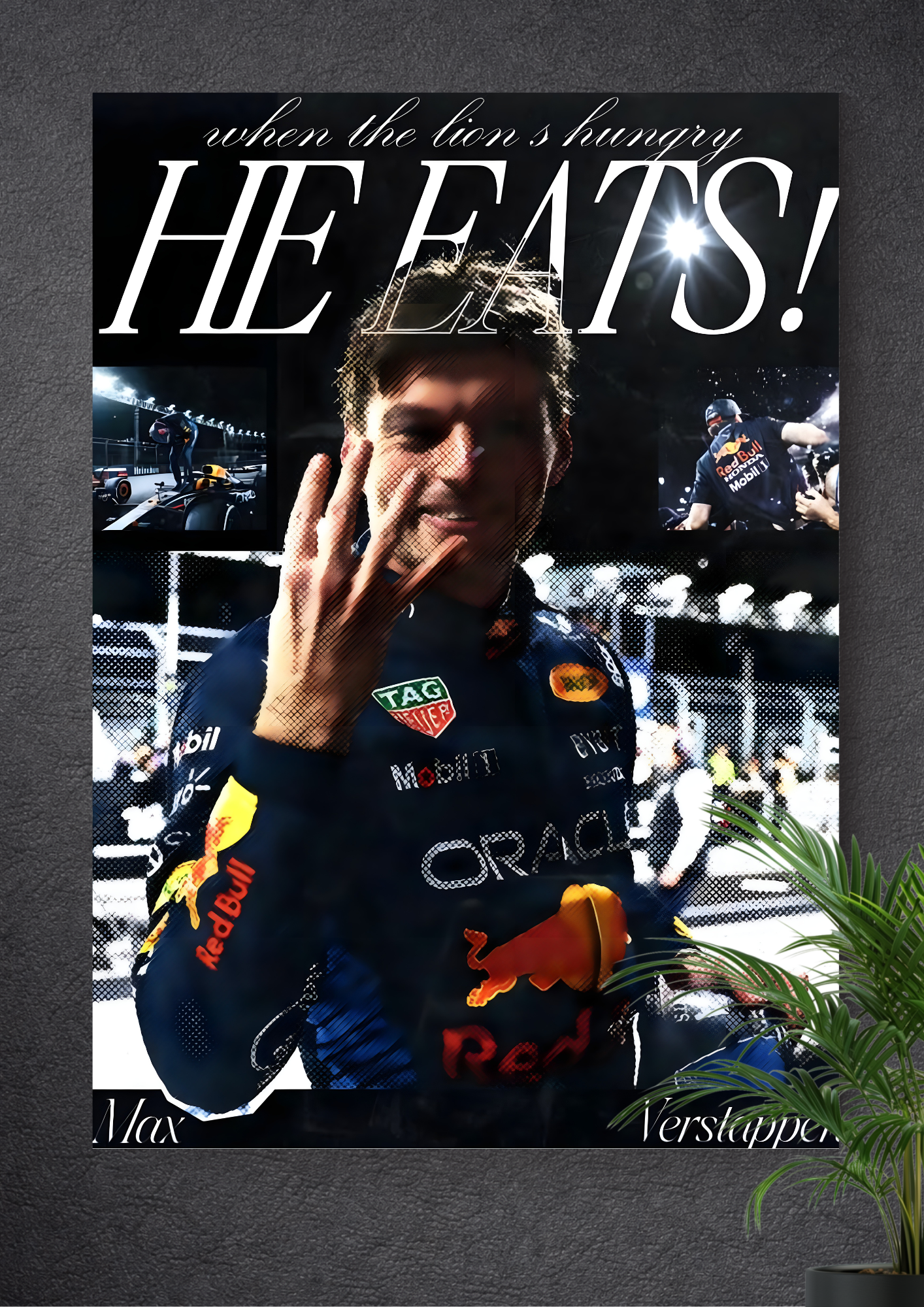 MAX EMILIAN VERSTAPPEN | FORMULA 1 | RED BULL RACING