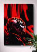 MAX EMILIAN VERSTAPPEN | FORMULA 1  | RED BULL RACING