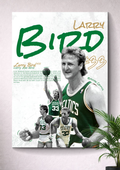 LARRY JOE BIRD | BOSTON CELTICS | JERSEY NUMBER: 33