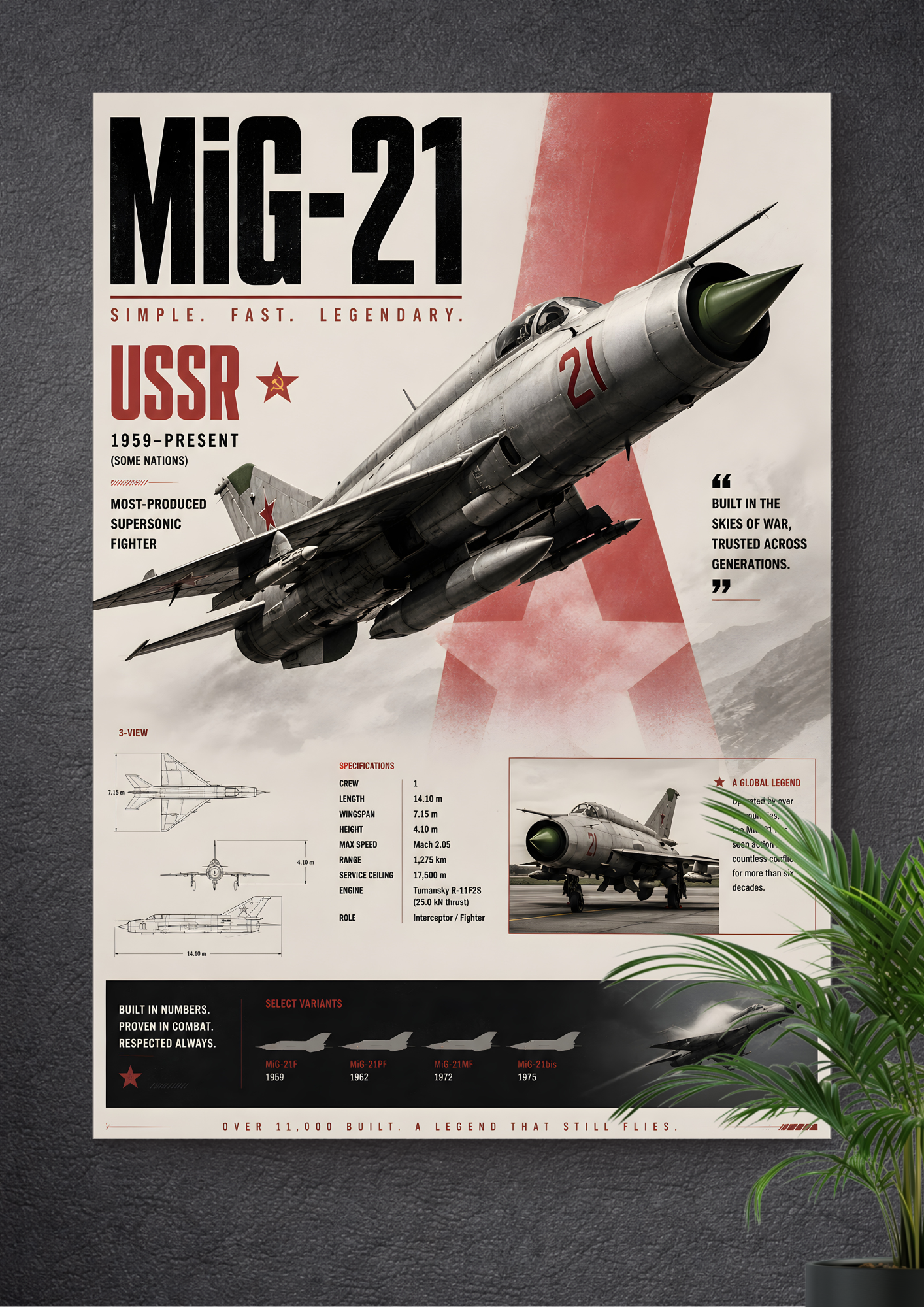 MIG-21 FISHBED | FISHBED | SENTINEL | AVIATOR