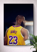 LEBRON JAMES | BASKETBALL | LOS ANGELES LAKERS | JERSEY NUMBER: 23