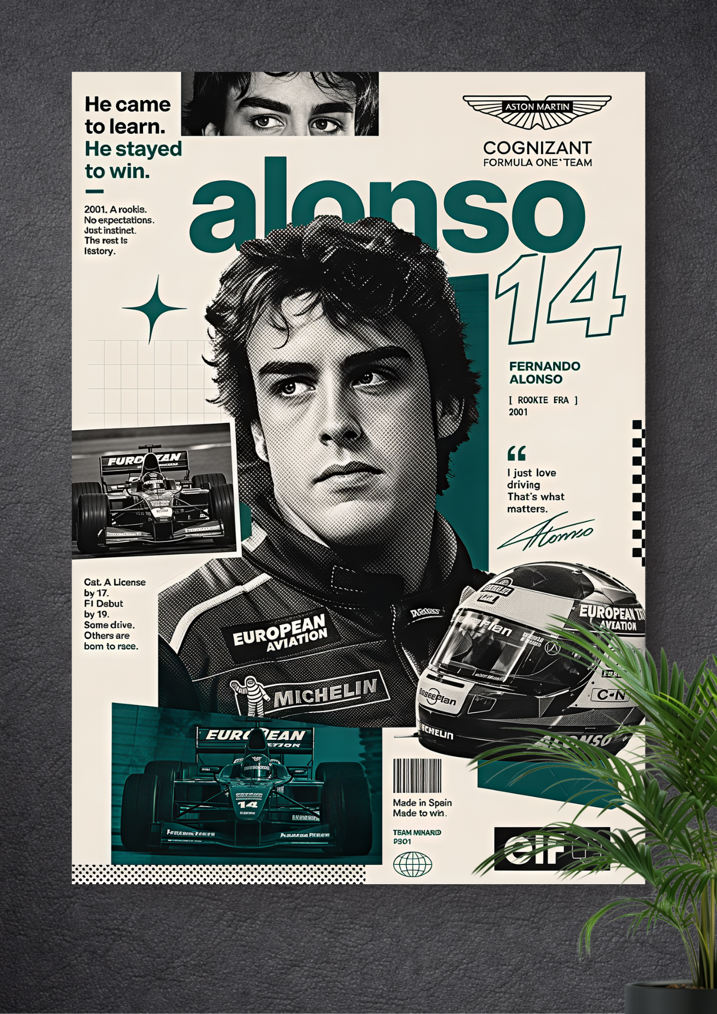 FERNANDO ALONSO | FORMULA 1 | CHAMPION