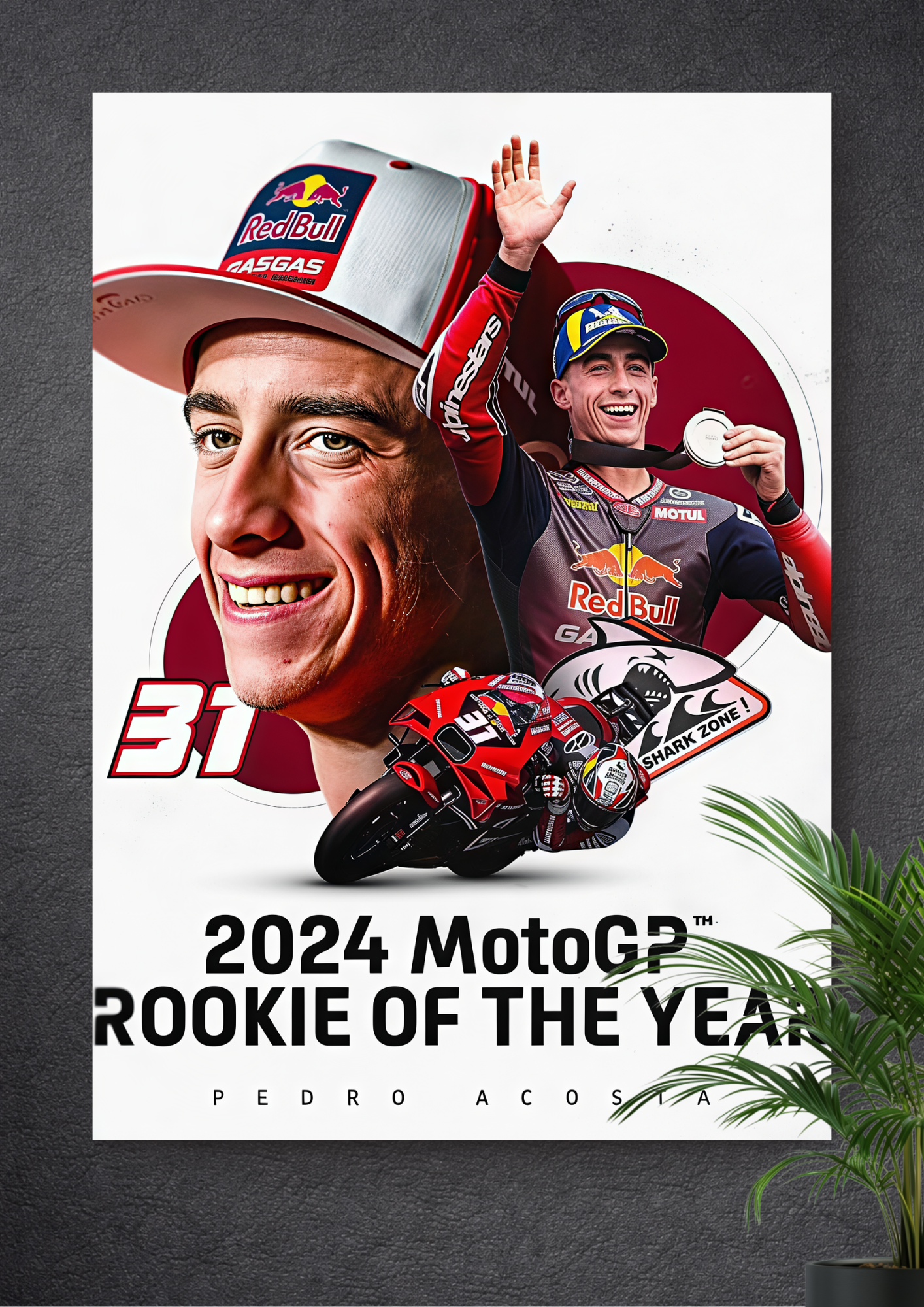 PEDRO ACOSTA | RED BULL GASGAS TECH3 | GASGAS RC16 | 2024 MOTOGP ROOKIE OF THE YEAR
