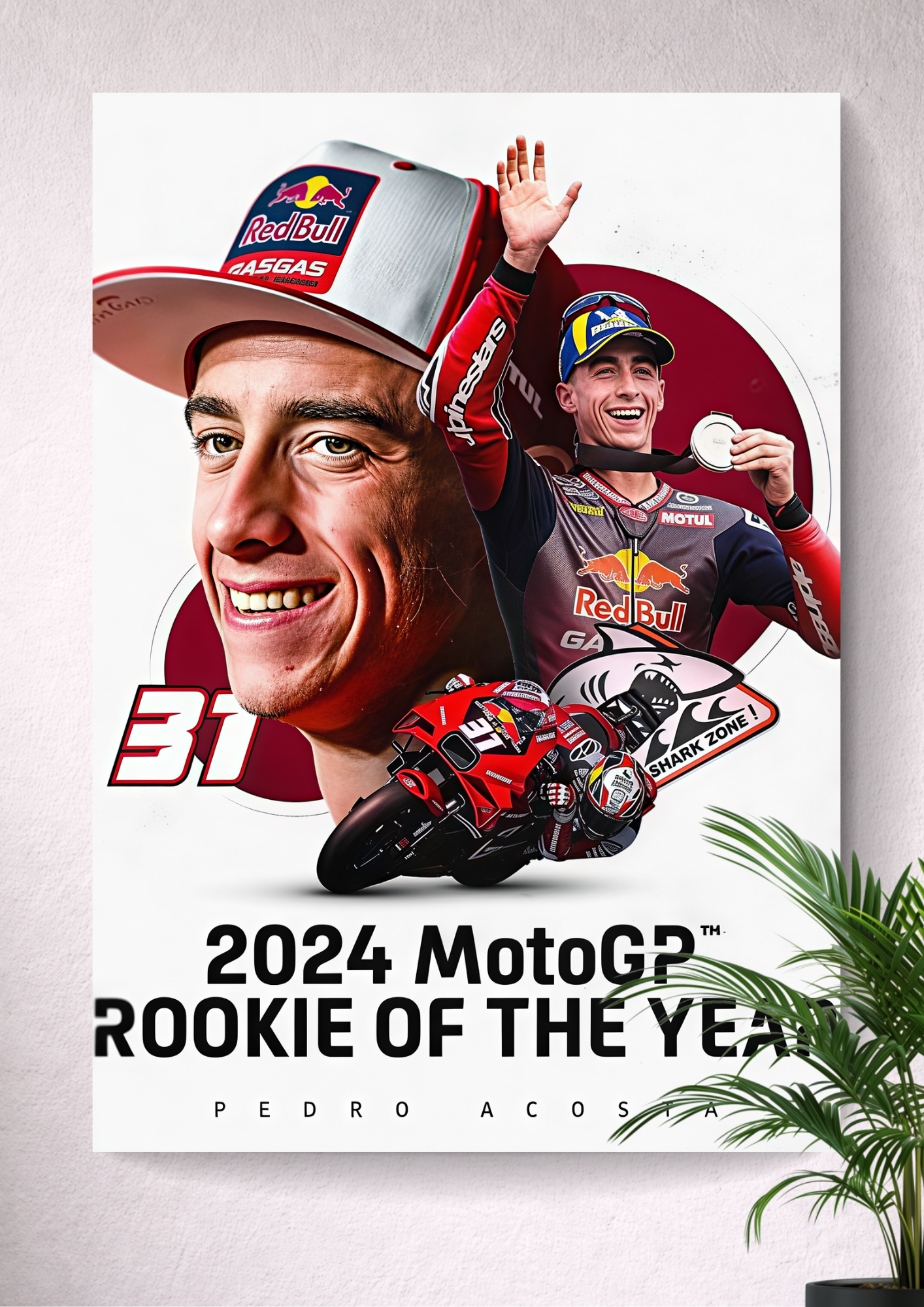 PEDRO ACOSTA | RED BULL GASGAS TECH3 | GASGAS RC16 | 2024 MOTOGP ROOKIE OF THE YEAR