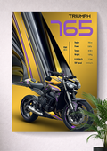 TRIUMPH STREET TRIPLE 765 | 765 CC TRIPLE ENGINE | STREETFIGHTER